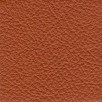 standard-leather-007.jpg